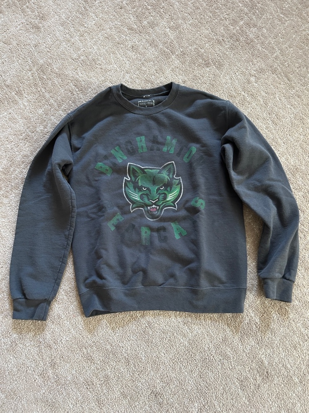 Binghamton Bearcat sweatshirt